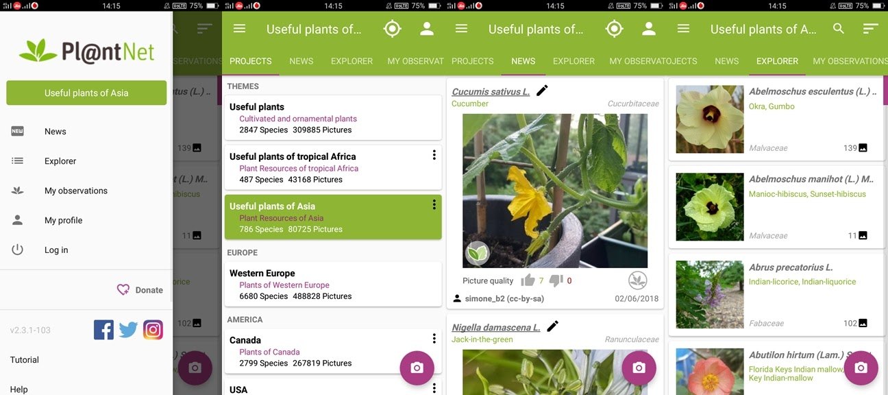 Never Confuse Plants Again With PlantNet: The Plant Identification App