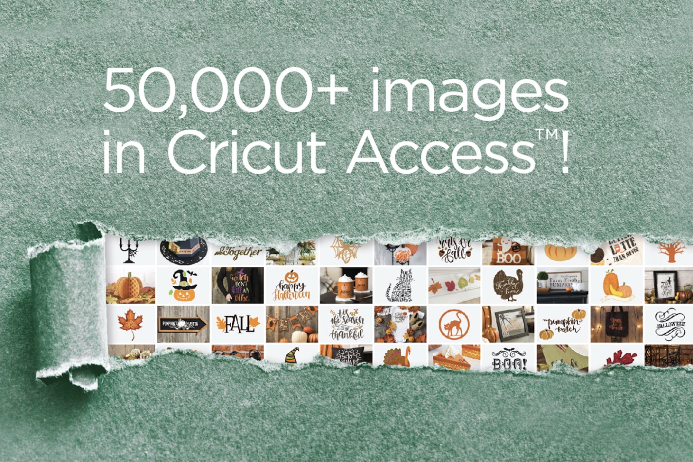 Learn How to Use the Cricut Design Space App