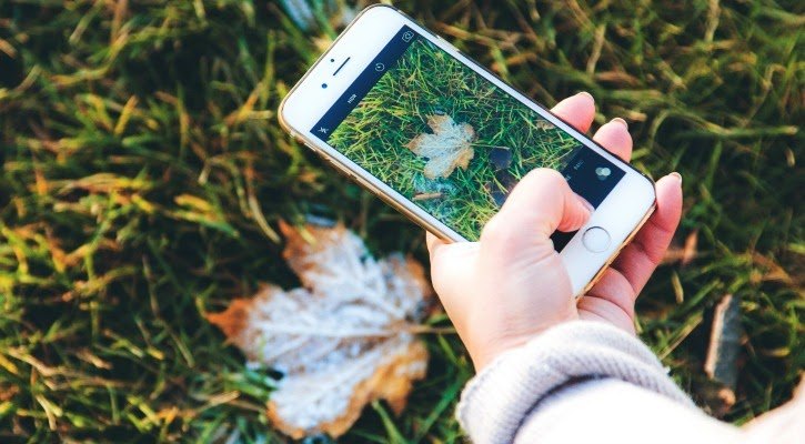 Never Confuse Plants Again With PlantNet: The Plant Identification App