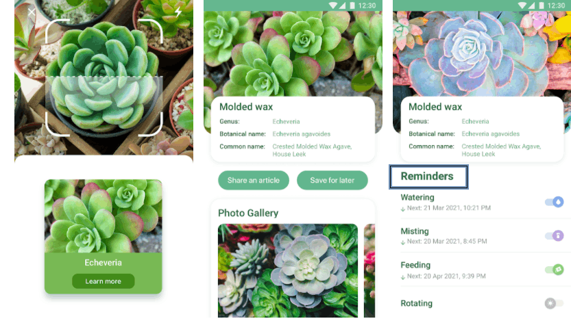 NatureID App - Identify Plants With A Tap Of A Finger