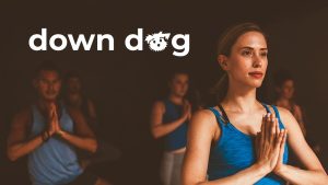 Yoga | Down Dog - Learn How to Download