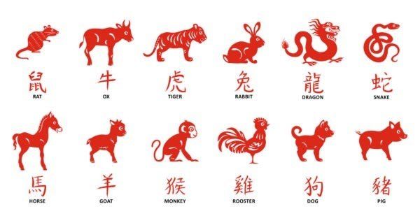 Daily Horoscope App - See How to Download
