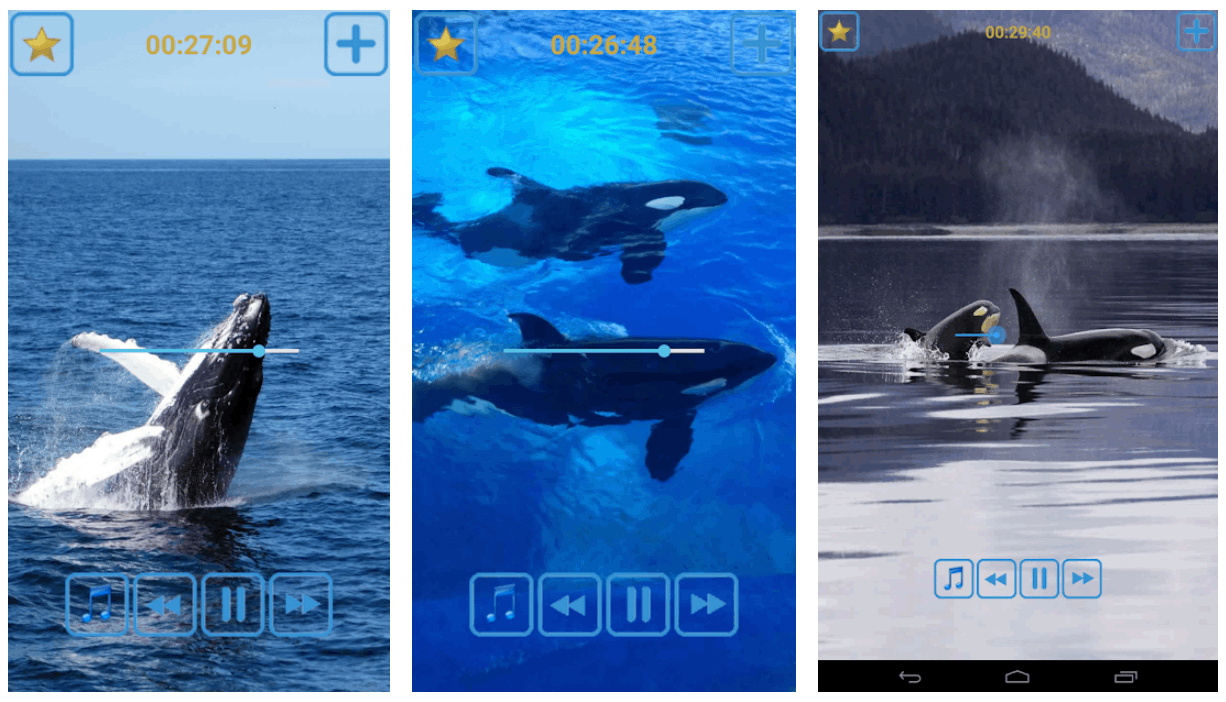 Whales Songs App - Use This App to Sleep Easily