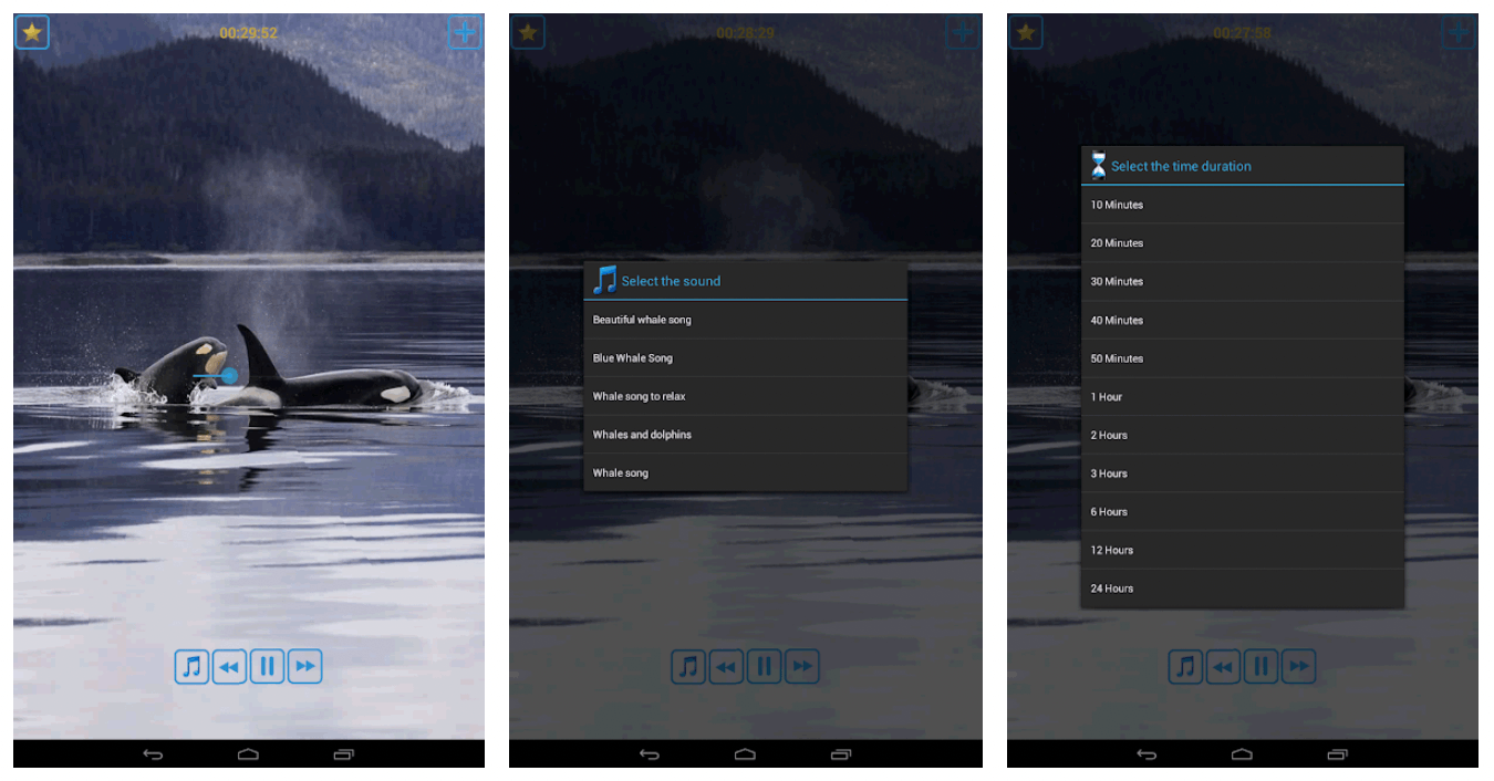Whales Songs App - Use This App to Sleep Easily