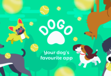 Master Dog Training With Dogo Dog Training App